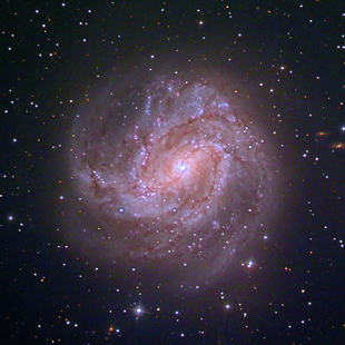 M83