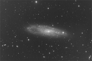 Ngc247