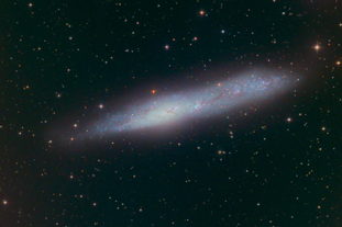 Ngc55
