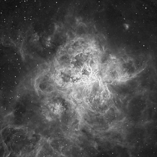 Nebulosa Tarantola Ha