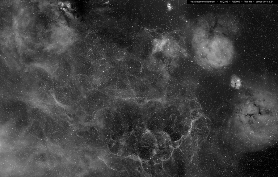 Vela Supernova Remnant
